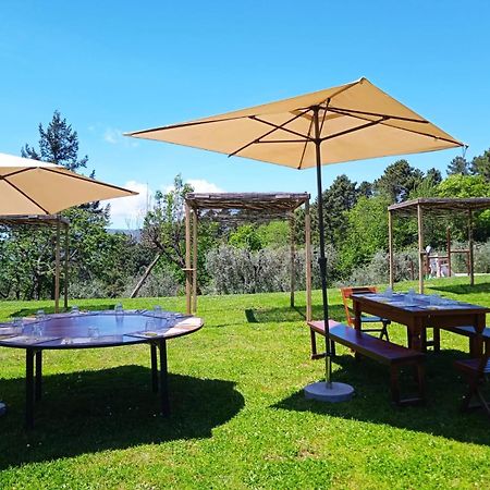 Agriturismo Da Nonna Argia 메사 에 코질레 외부 사진