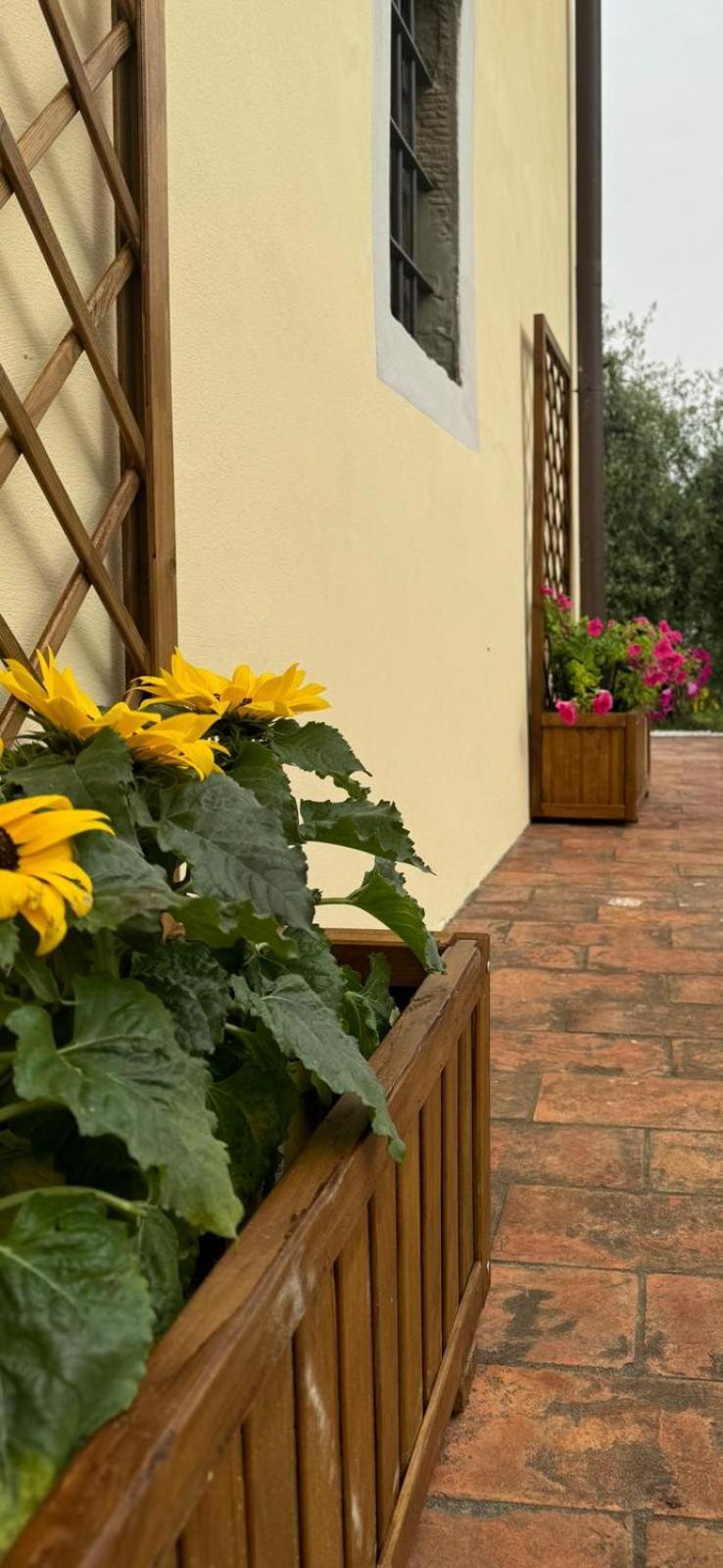 Agriturismo Da Nonna Argia 메사 에 코질레 외부 사진