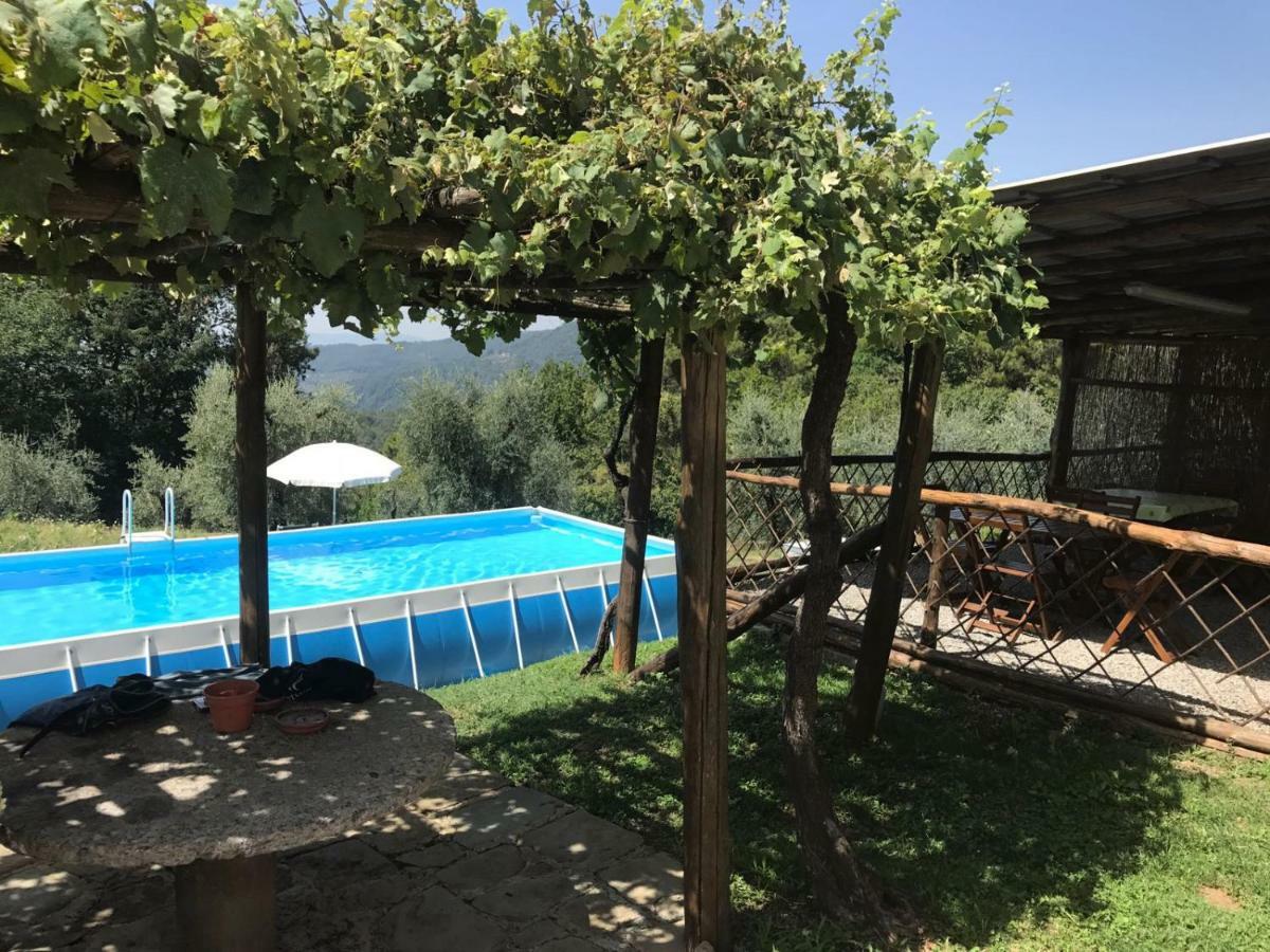 Agriturismo Da Nonna Argia 메사 에 코질레 외부 사진